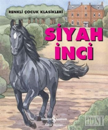 Siyah İnci